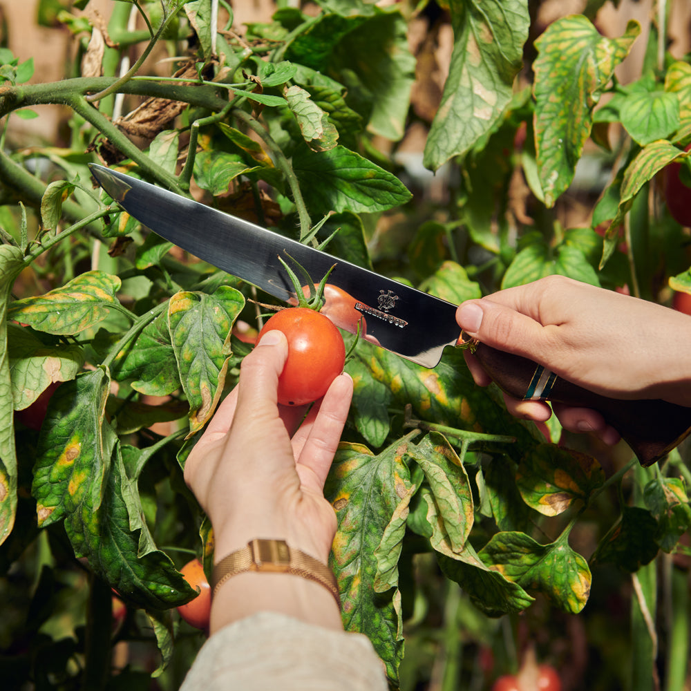 Cuchillo Escribano cortando un tomate